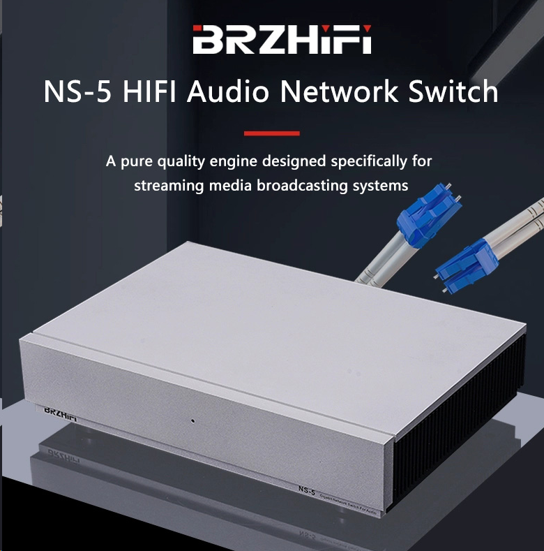 BRZHIFI Audio Network Switch N - Audio Music Quality Enhancer review and price