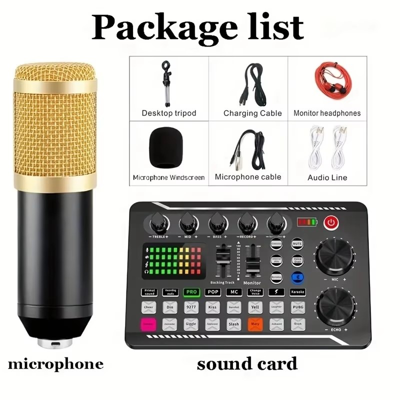 Condenser Microphone Professio - Audio Music Voice Changer review and price